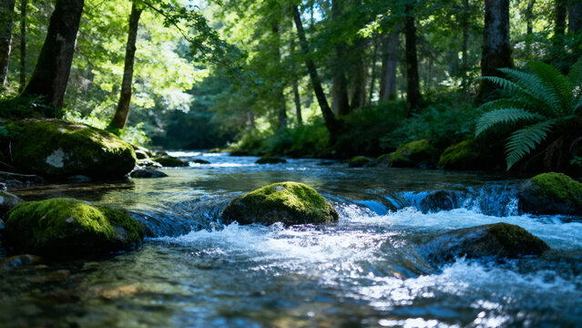 A clear stream flows over moss-covered rocks in a lush forest setting