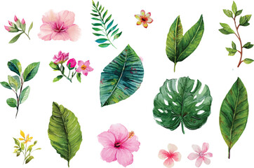 tropical flowers and leaves