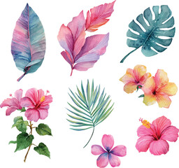 set of colorful flowers