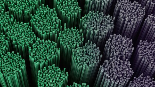 Microscopic View of High Aspect Ratio Nanomaterial Array Relevant to Advanced Electronics and Sensors