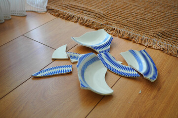 Broken plates scattered on a wooden floor in a bright room