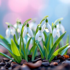 Fototapeta premium Delicate Snowdrop Flowers Blooming in Soft Focus with Vibrant Green Leaves on Natural Background, Symbolizing New Beginnings and Springtime Renewal