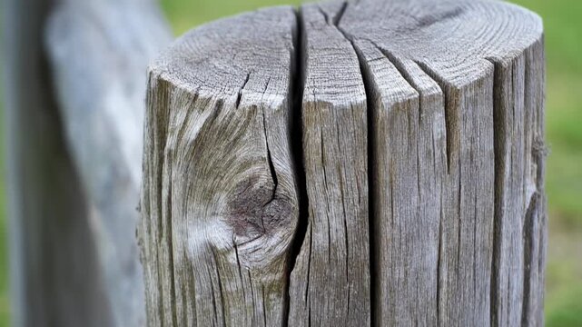 Close-up of a weathered, cracked wooden fence post with visible grain and knot against a blurred green background.