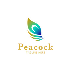 peacock feather logo design vector illustration