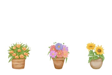 Watercolor of flowers in pot set on white background. Watercolor of flower, sunflower, leaves isolated. Sketch of flowers