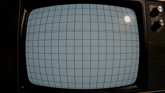 Old Television Shows Static Grid Test Pattern Close Up
