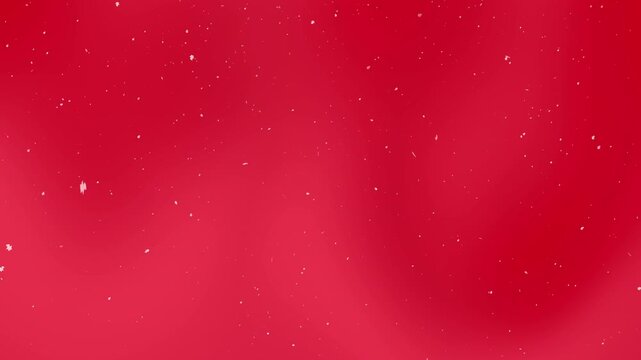 Snowy white snowflakes falling  on red background