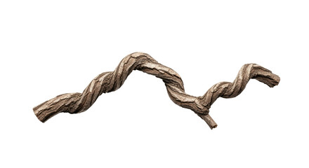 Twisted Natural Wood Branch for Decoration.