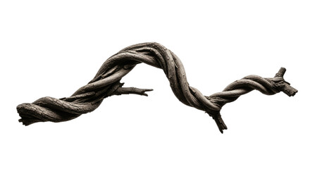 Twisted Tree Branch with Artistic Form.