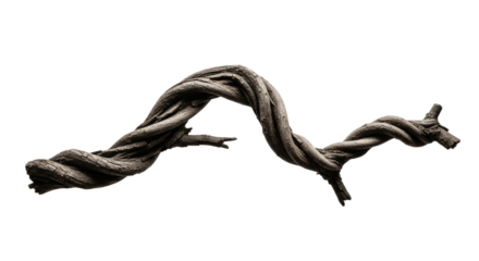 Twisted Tree Branch with Artistic Form.