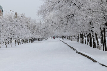 Winter landscape - alley in a winter park with silhouettes of pe