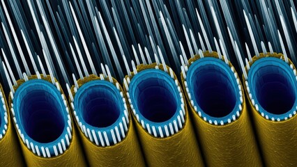 High-Resolution IA-SEM of Vertically Aligned Carbon Nanotubes Core Structure for Electronics