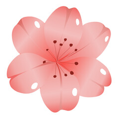 Strawberry and Sakura Floral Seamless Pattern Design