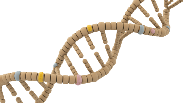 Dynamic DNA structure model for medical research and genetic studies - Powered by Adobe