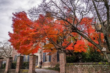 Naklejka premium Richmond, Virginia