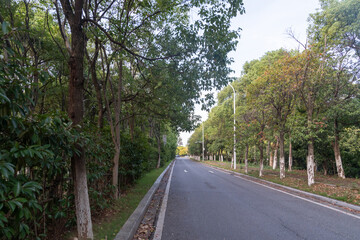 Empty urban road and buildings in the city