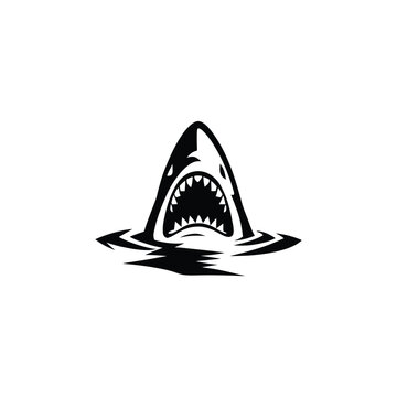 Black and white illustration of a shark emerging with ferocious jagged teeth vector hand drawn image