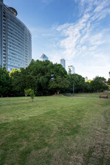 Fototapeta premium city park with modern building background in shanghai