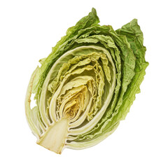 Obraz premium Halved napa cabbage, detailed cross-section view isolated on white background