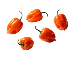 Five bright orange habanero chili peppers scattered on a transparent background, showcasing their distinct wrinkled shape and vibrant color