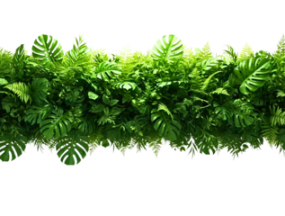 Lush green tropical foliage border isolated on transparent background