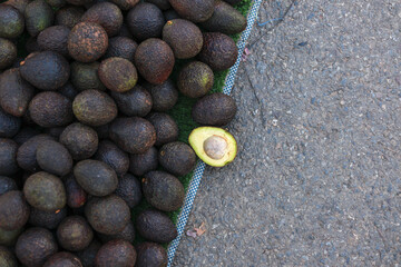 Abundance of fresh, ripe, dark avocado fruit at an outdoor market. One single avocado cut in half with seed visible next to large pile on textured concrete background
