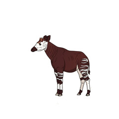 Striking Okapi Forest Zebra's Unique Stripes