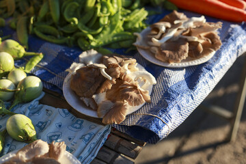 Fresh oyster mushroom and green vegetable produce for sale at an outdoor local food market stall. vibrant display of raw, organic ingredients on simple checkered cloth