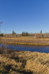 A Sunny Autumn Day at Pylypow