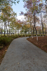 The road of City Park in China