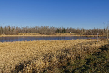 A Sunny Autumn Day at Pylypow