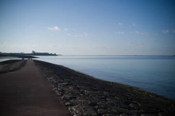 沖縄の海と公園