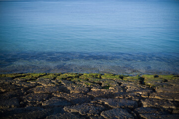 沖縄の海と公園