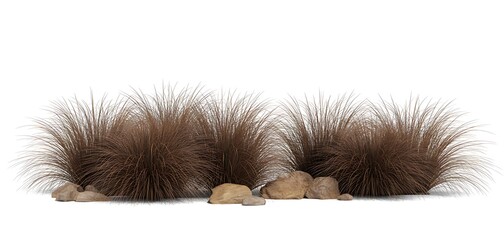 Two fluffy brown ornamental grasses with a cluster of light tan rocks at their base on a white background