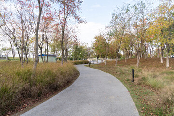 The road of City Park in China