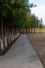 The road of City Park in China