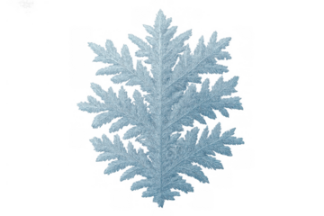 Frozen snowflake showing delicate icy details and a symmetrical form, representing cold weather and seasonal elegance