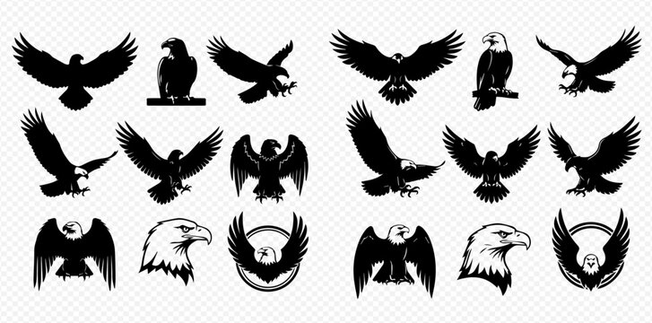 A comprehensive collection of various eagle silhouettes and a detailed head drawing, showcasing different poses and styles.
