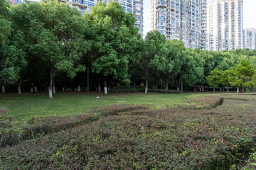 spring park and modern city