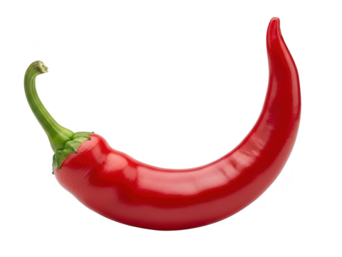 A single curved bright red chili pepper with a green stem isolated on transparent background for culinary use