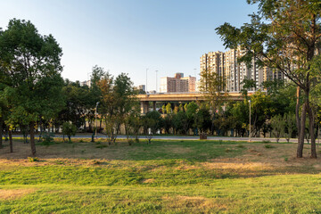 spring park and modern city
