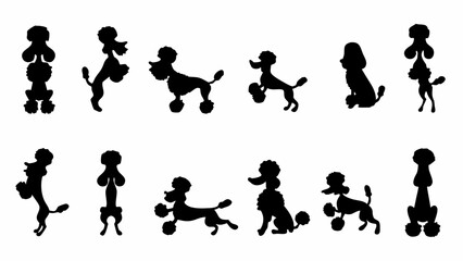 Playful poodle silhouette collection for creative designs, ideal for pet lovers and branding projects. Classic canine elegance in vector format, scalable.
