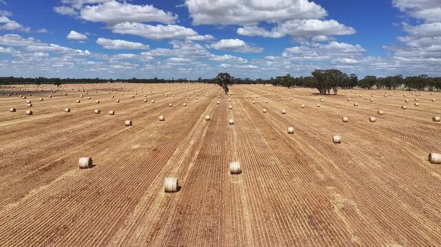 Low aerial of hay spread across cropped paddocks in an open country landscape