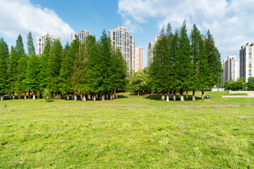 city park with modern building background in shanghai