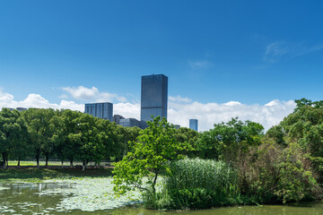 spring park and modern city