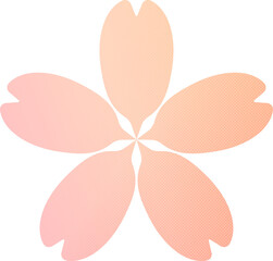 Pastel peach halftone apricot flower with separated petals