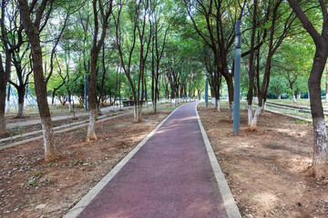 The road of City Park in China