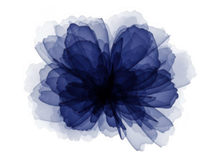 Abstract deep blue watercolor flower bloom illustration isolated on transparent background, artistic ink wash painting style