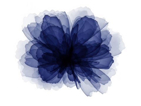 Abstract deep blue watercolor flower bloom illustration isolated on transparent background, artistic ink wash painting style