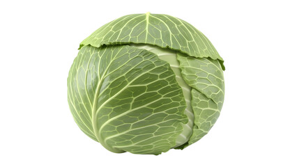 Fototapeta premium Fresh green cabbage head isolated on transparent background healthy eating vegetable